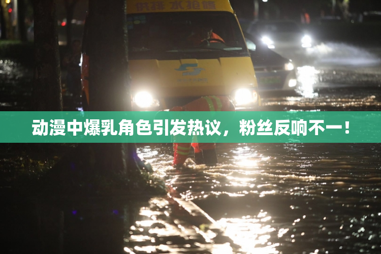 动漫中爆乳角色引发热议，粉丝反响不一！