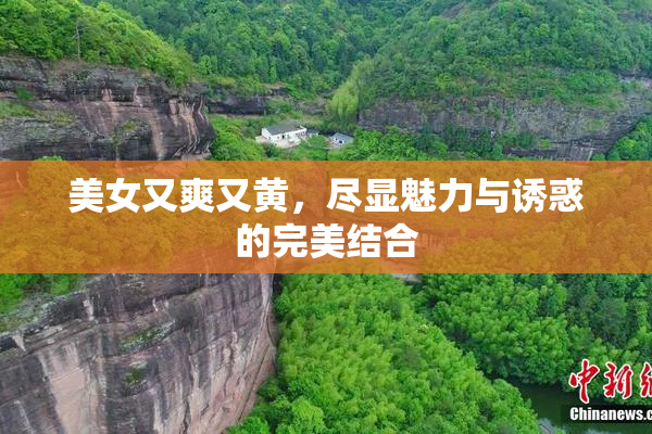美女又爽又黄，尽显魅力与诱惑的完美结合