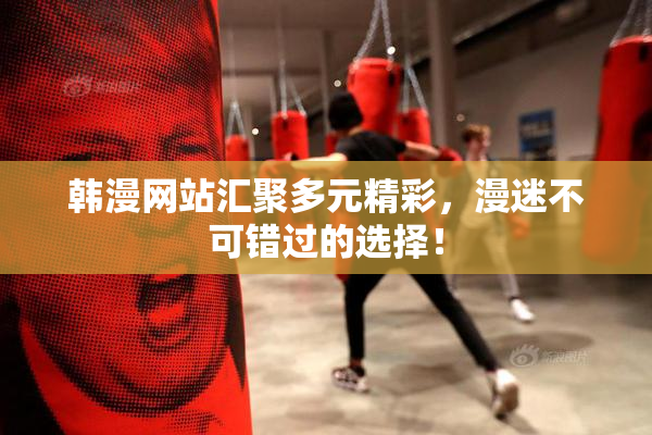 韩漫网站汇聚多元精彩，漫迷不可错过的选择！