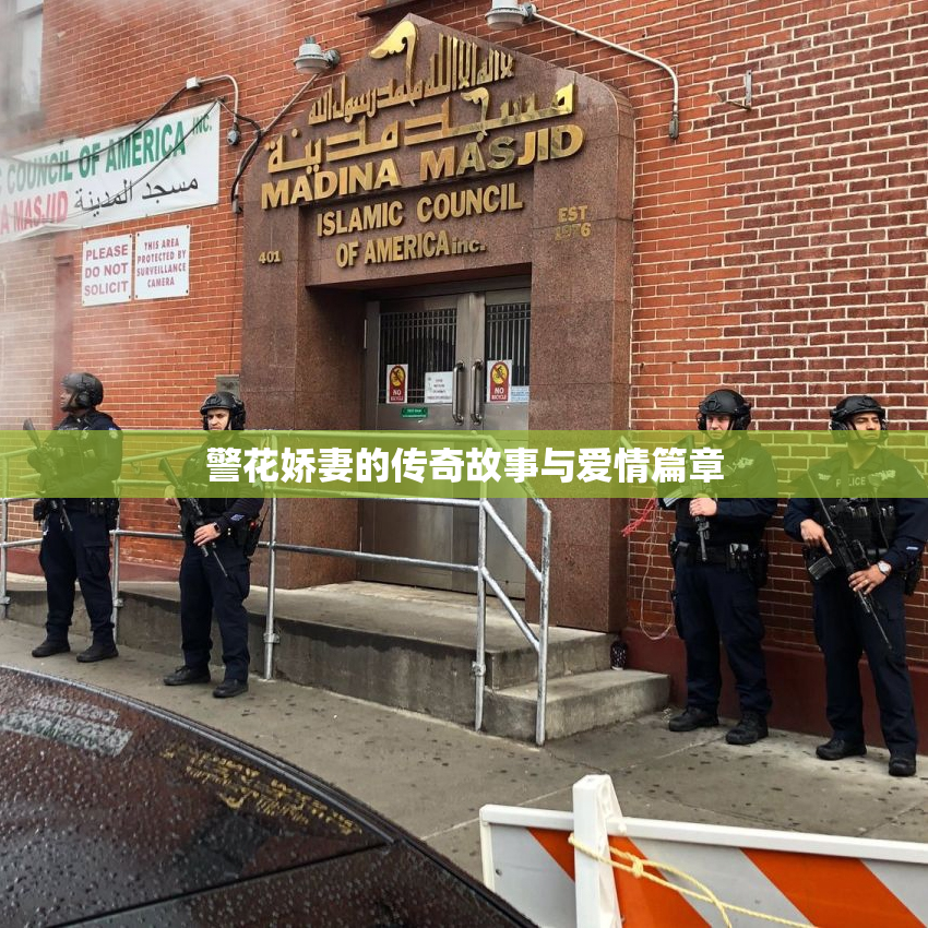 警花娇妻的传奇故事与爱情篇章