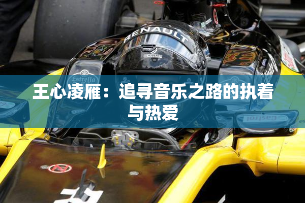 王心凌雁：追寻音乐之路的执着与热爱