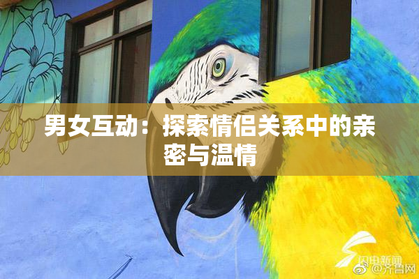 男女互动：探索情侣关系中的亲密与温情
