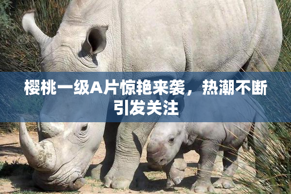 樱桃一级A片惊艳来袭，热潮不断引发关注
