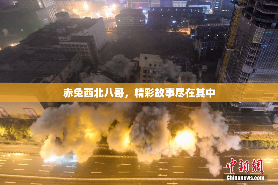 赤兔西北八哥，精彩故事尽在其中