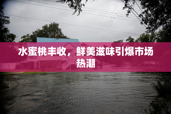 水蜜桃丰收，鲜美滋味引爆市场热潮