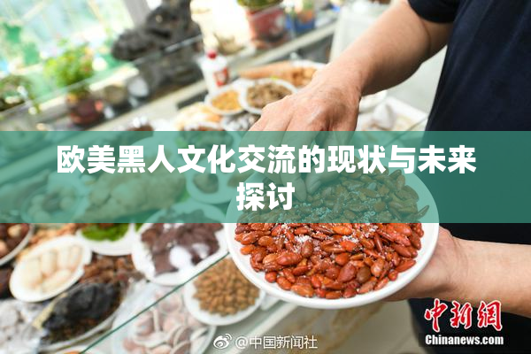 欧美黑人文化交流的现状与未来探讨