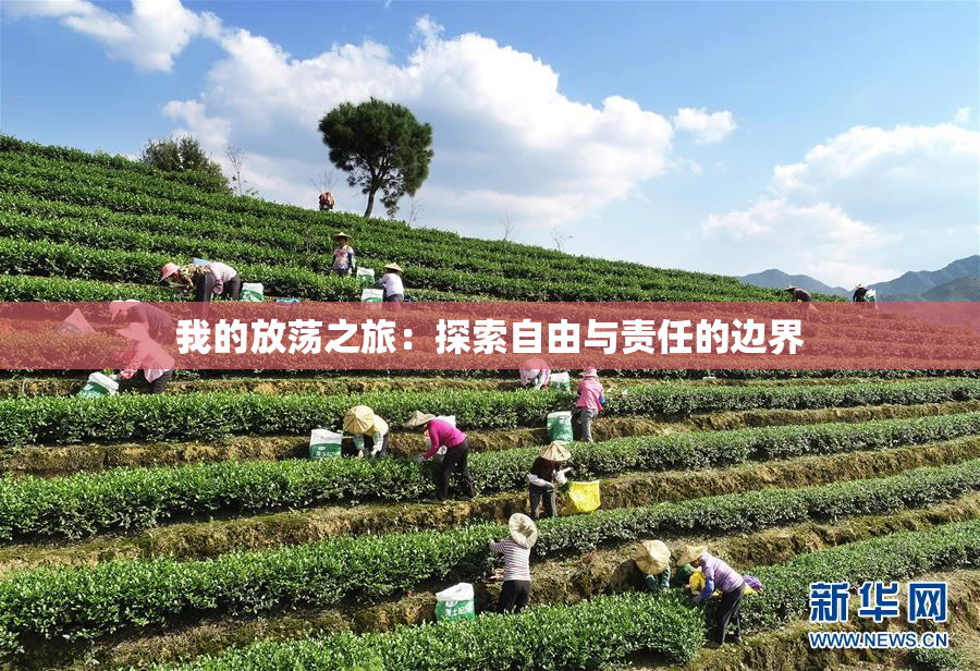我的放荡之旅：探索自由与责任的边界