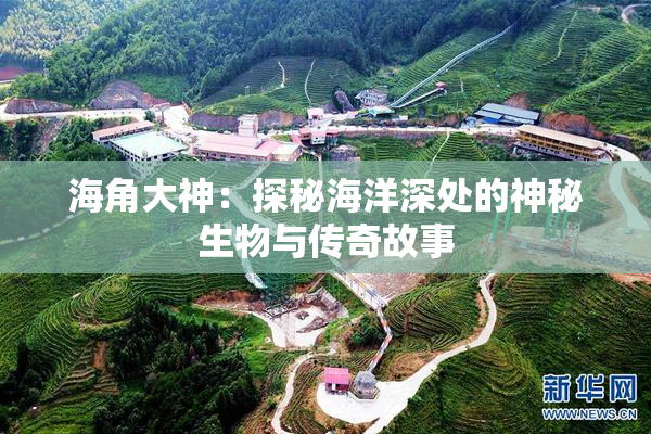 海角大神：探秘海洋深处的神秘生物与传奇故事