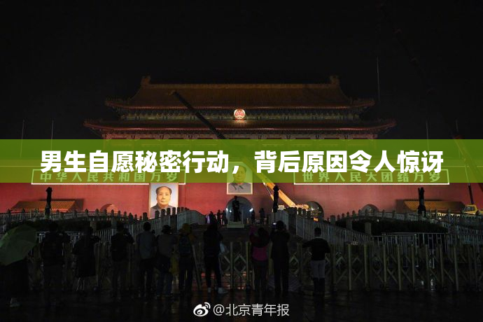 男生自愿秘密行动，背后原因令人惊讶
