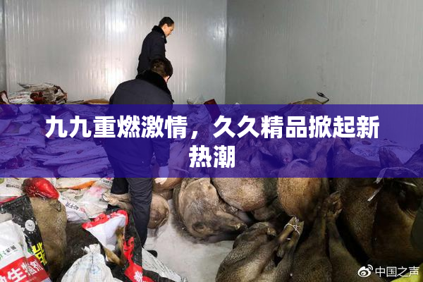 九九重燃激情，久久精品掀起新热潮