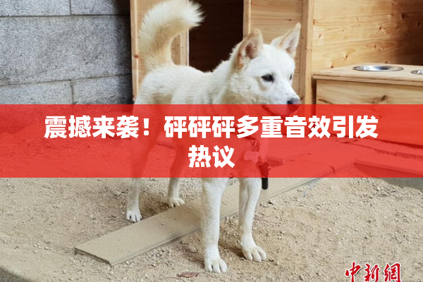震撼来袭！砰砰砰多重音效引发热议