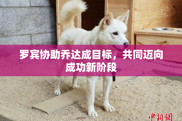 罗宾协助乔达成目标，共同迈向成功新阶段