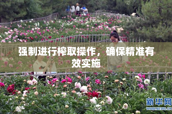 强制进行榨取操作，确保精准有效实施