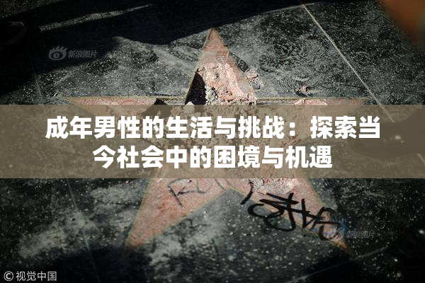 成年男性的生活与挑战：探索当今社会中的困境与机遇