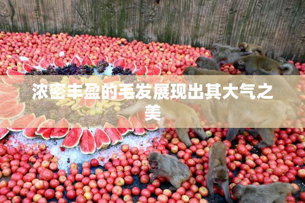 浓密丰盈的毛发展现出其大气之美