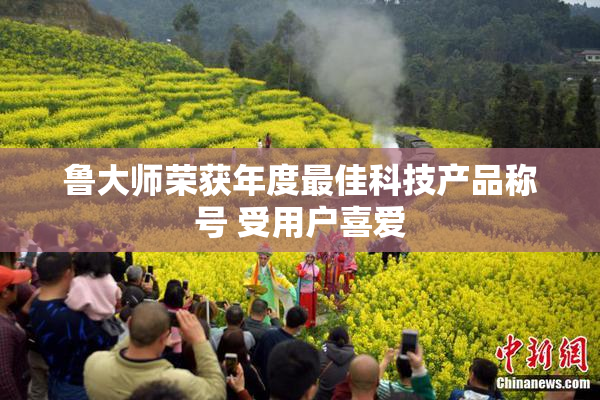 鲁大师荣获年度最佳科技产品称号 受用户喜爱