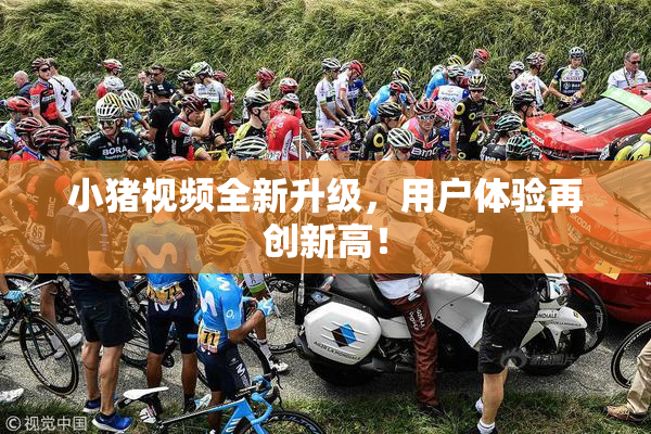 小猪视频全新升级，用户体验再创新高！