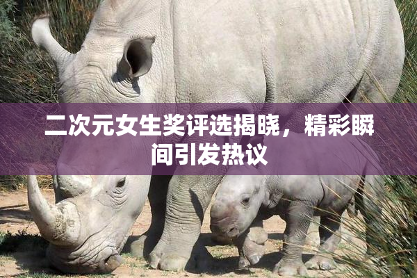 二次元女生奖评选揭晓，精彩瞬间引发热议