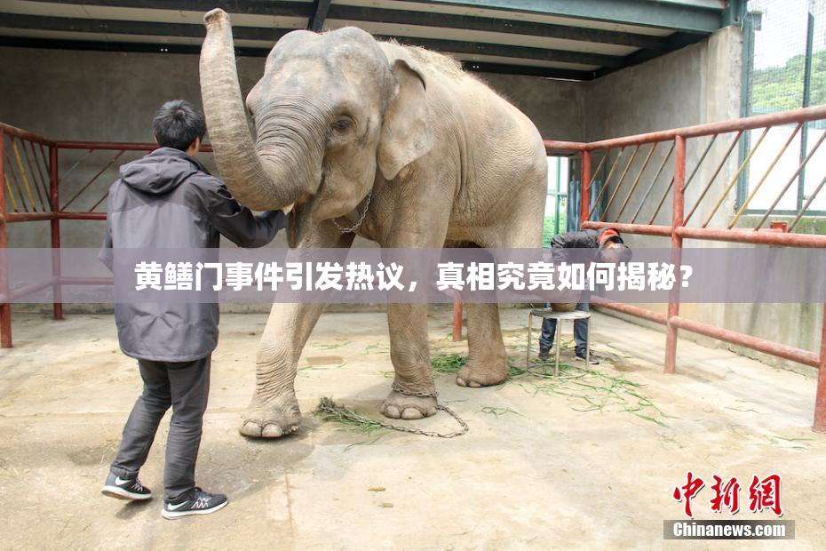黄鳝门事件引发热议，真相究竟如何揭秘？