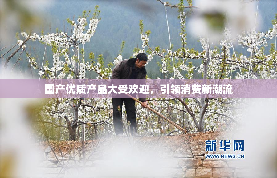 国产优质产品大受欢迎，引领消费新潮流