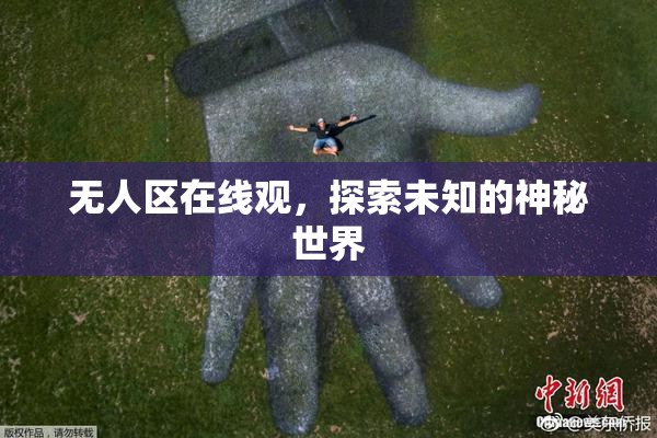 无人区在线观，探索未知的神秘世界