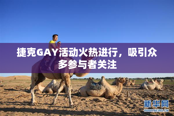 捷克GAY活动火热进行，吸引众多参与者关注