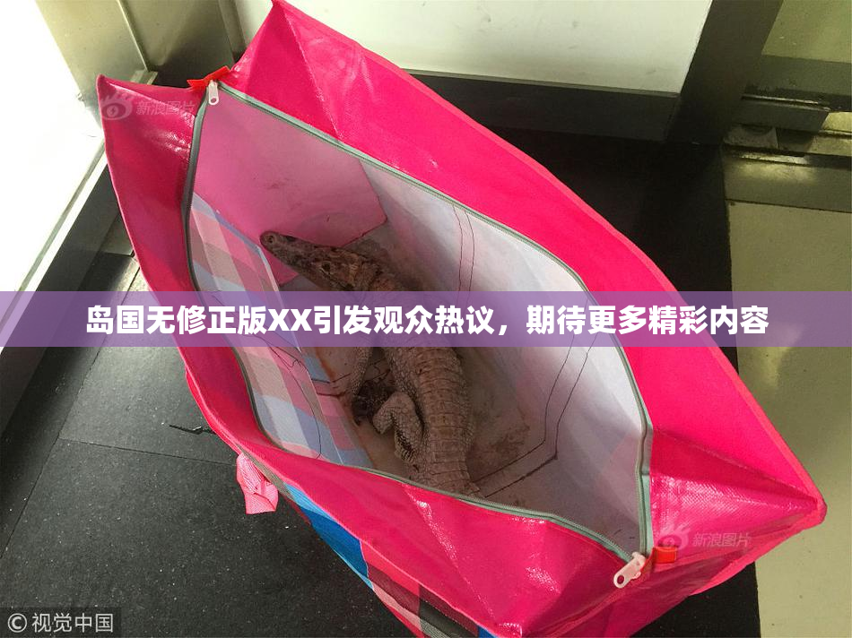 岛国无修正版XX引发观众热议，期待更多精彩内容