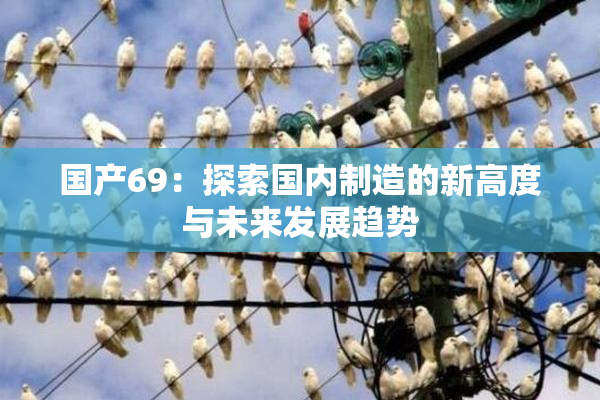 国产69：探索国内制造的新高度与未来发展趋势