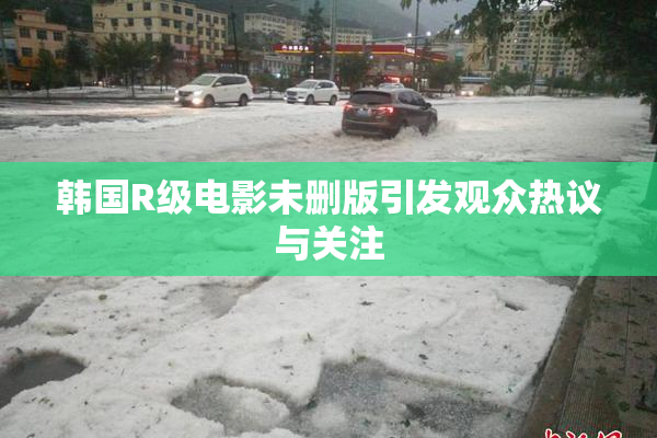 韩国R级电影未删版引发观众热议与关注