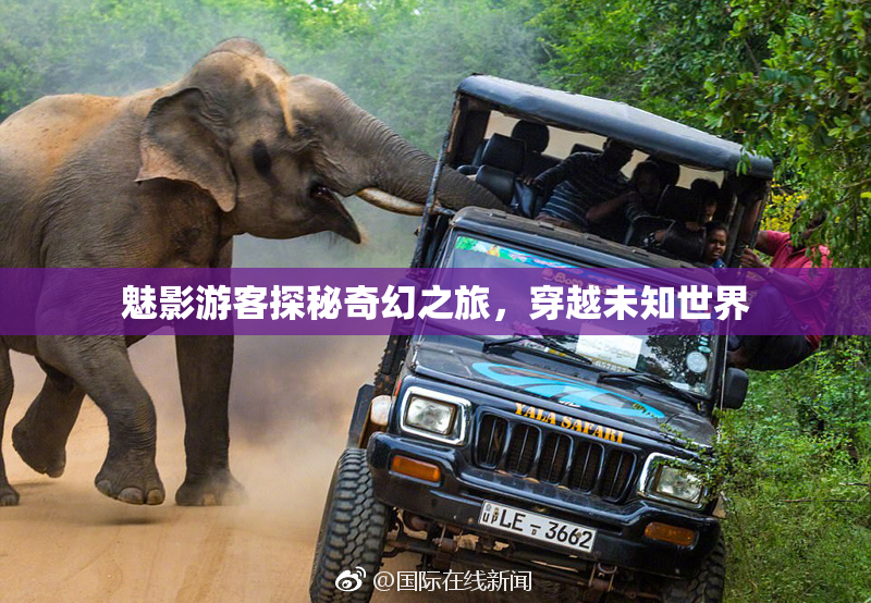 魅影游客探秘奇幻之旅，穿越未知世界