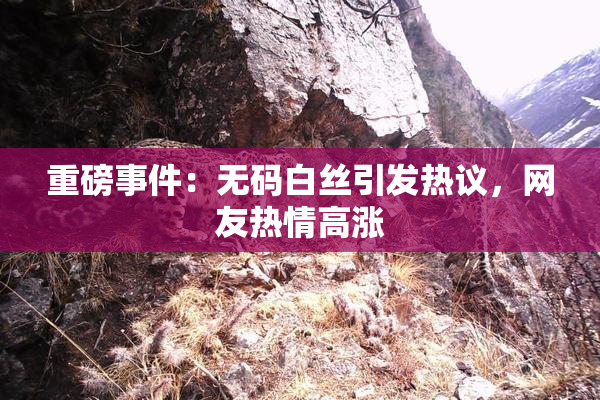 重磅事件：无码白丝引发热议，网友热情高涨
