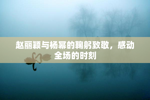 赵丽颖与杨幂的鞠躬致敬，感动全场的时刻