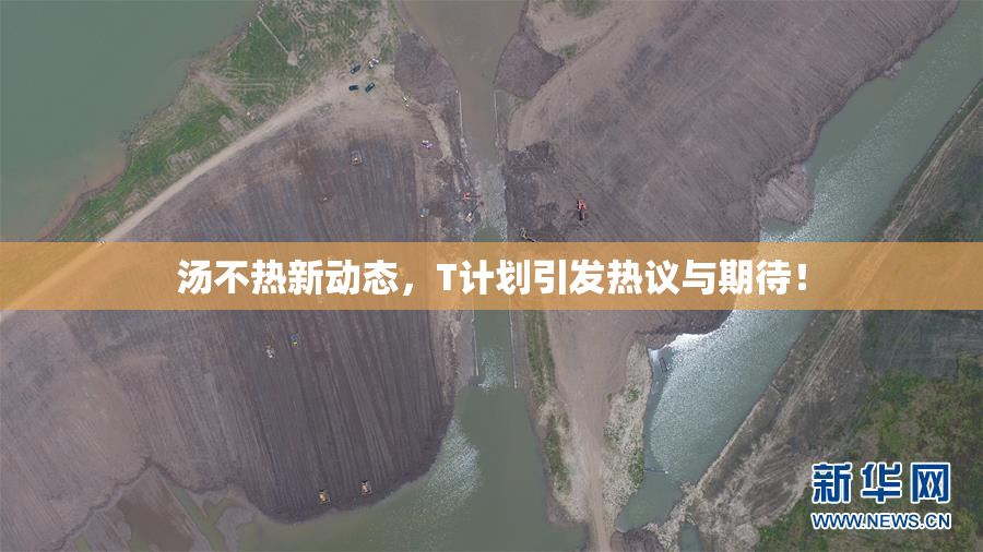 汤不热新动态，T计划引发热议与期待！