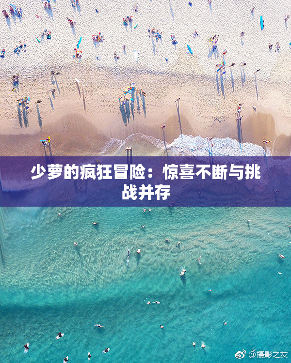 少萝的疯狂冒险：惊喜不断与挑战并存