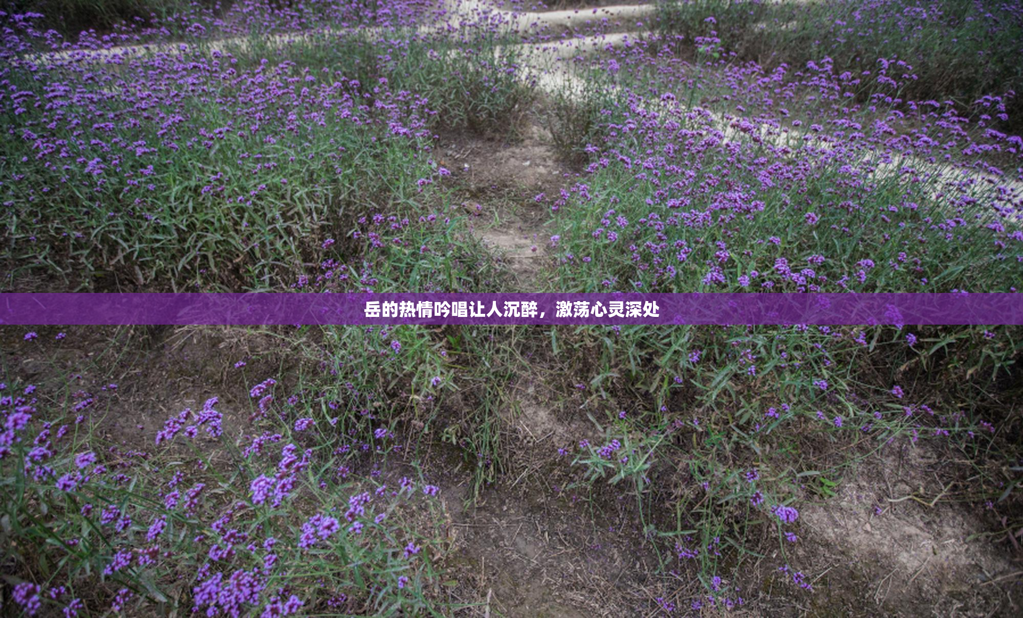 岳的热情吟唱让人沉醉，激荡心灵深处