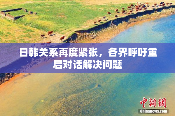 日韩关系再度紧张，各界呼吁重启对话解决问题