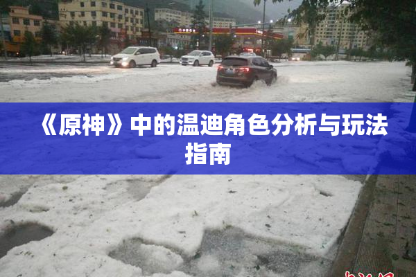《原神》中的温迪角色分析与玩法指南