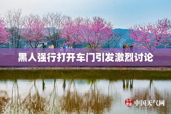 黑人强行打开车门引发激烈讨论