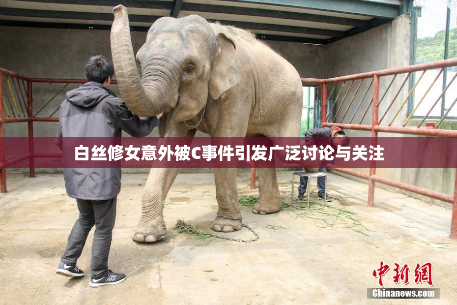 白丝修女意外被C事件引发广泛讨论与关注