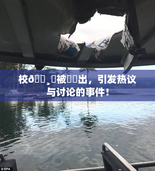 校🌸‌被❌‌出，引发热议与讨论的事件！