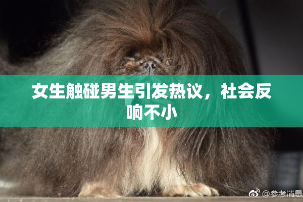 女生触碰男生引发热议，社会反响不小