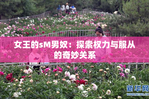 女王的sM男奴：探索权力与服从的奇妙关系