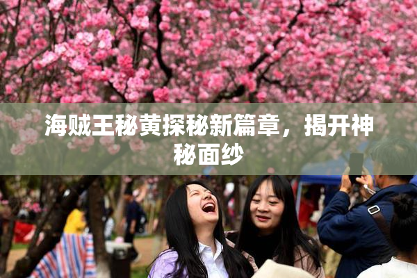 海贼王秘黄探秘新篇章，揭开神秘面纱