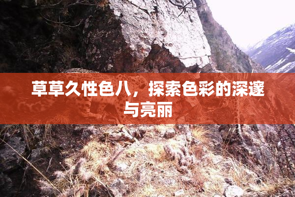 草草久性色八，探索色彩的深邃与亮丽