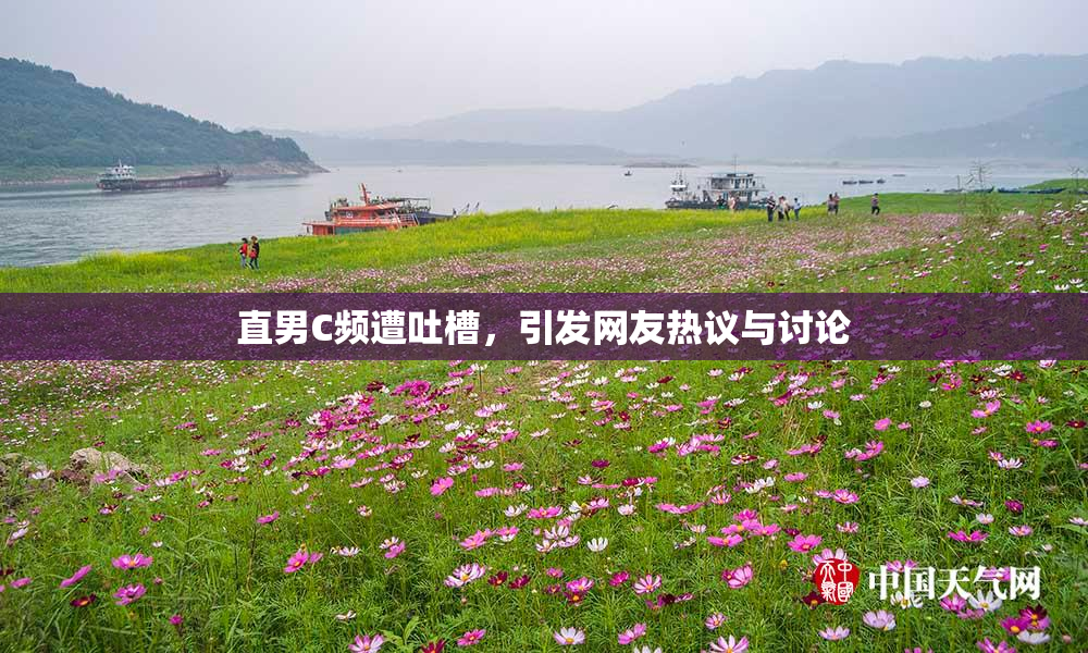 直男C频遭吐槽，引发网友热议与讨论