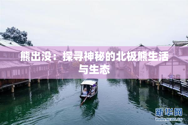 熊出没：探寻神秘的北极熊生活与生态