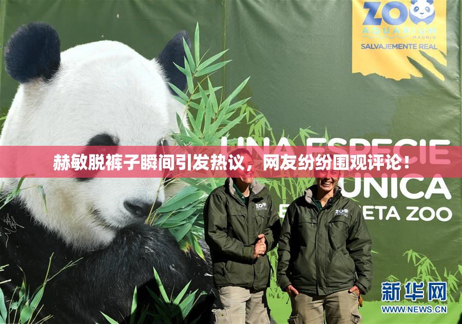 赫敏脱裤子瞬间引发热议，网友纷纷围观评论！