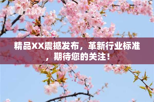 精品XX震撼发布，革新行业标准，期待您的关注！