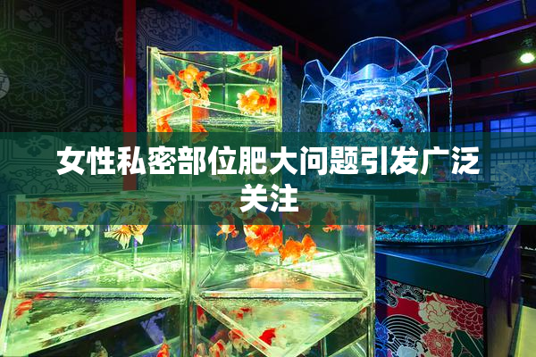 女性私密部位肥大问题引发广泛关注