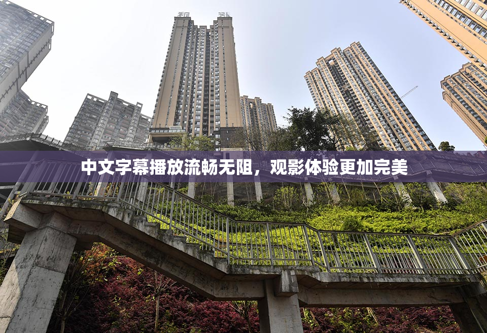 中文字幕播放流畅无阻，观影体验更加完美